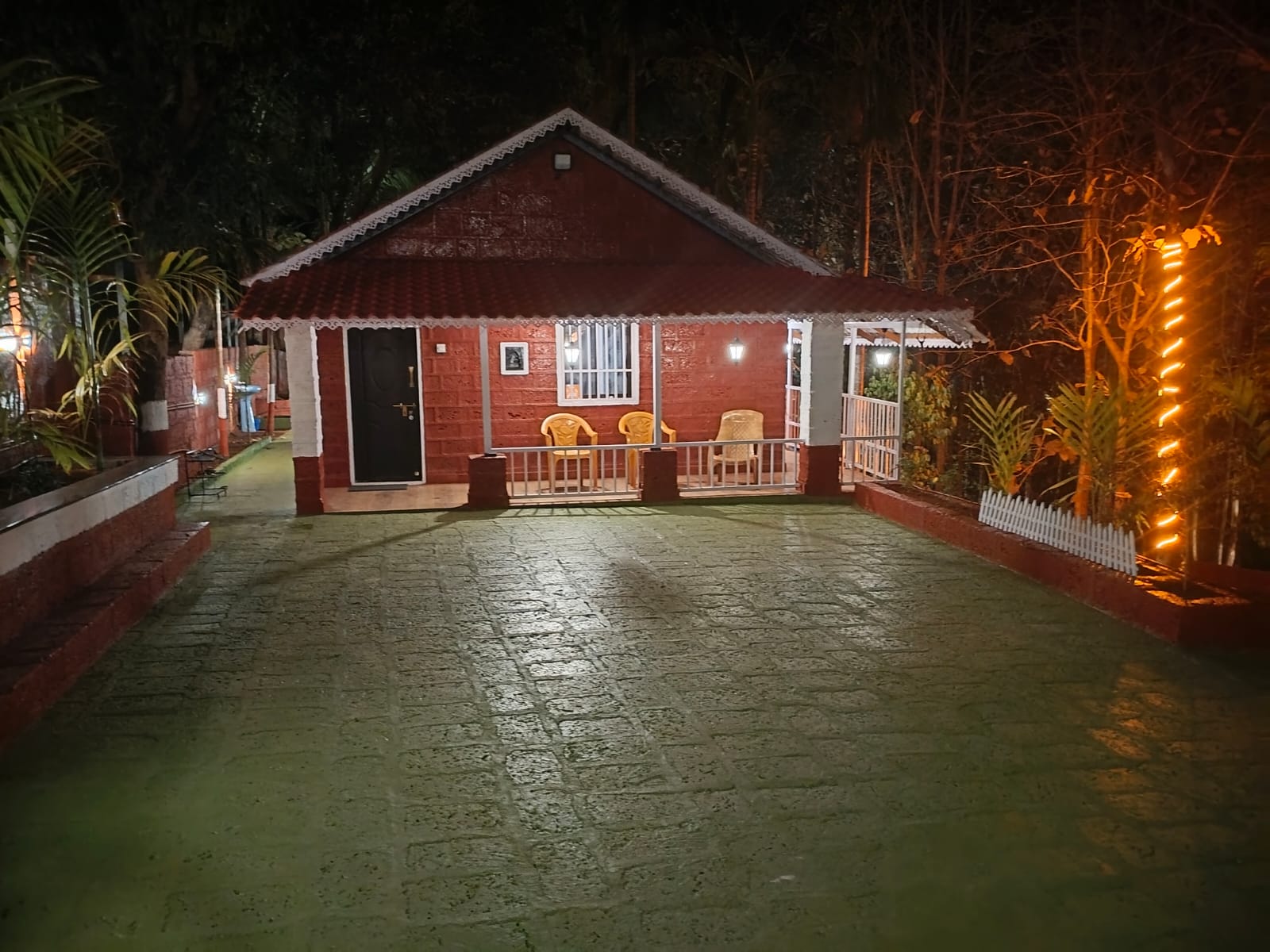 Night View